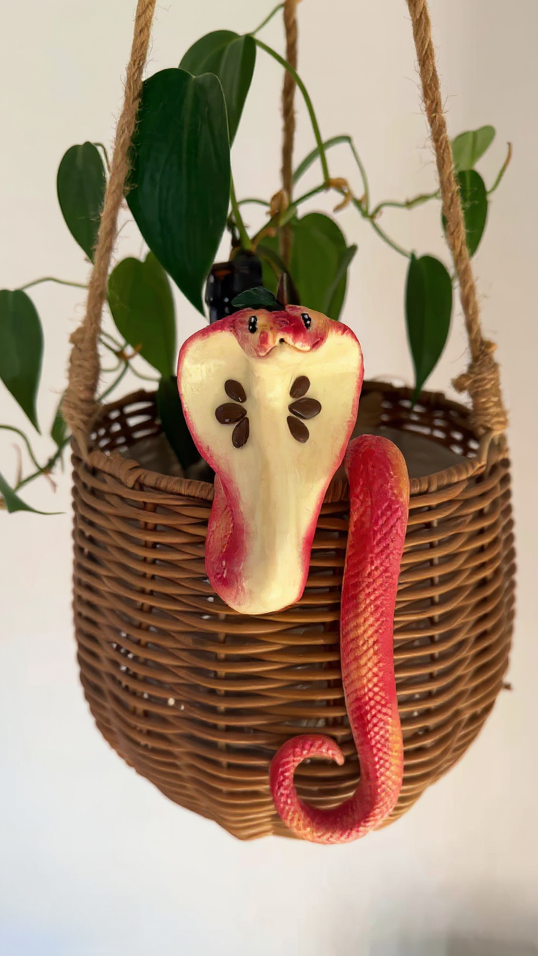 Cobra Apple