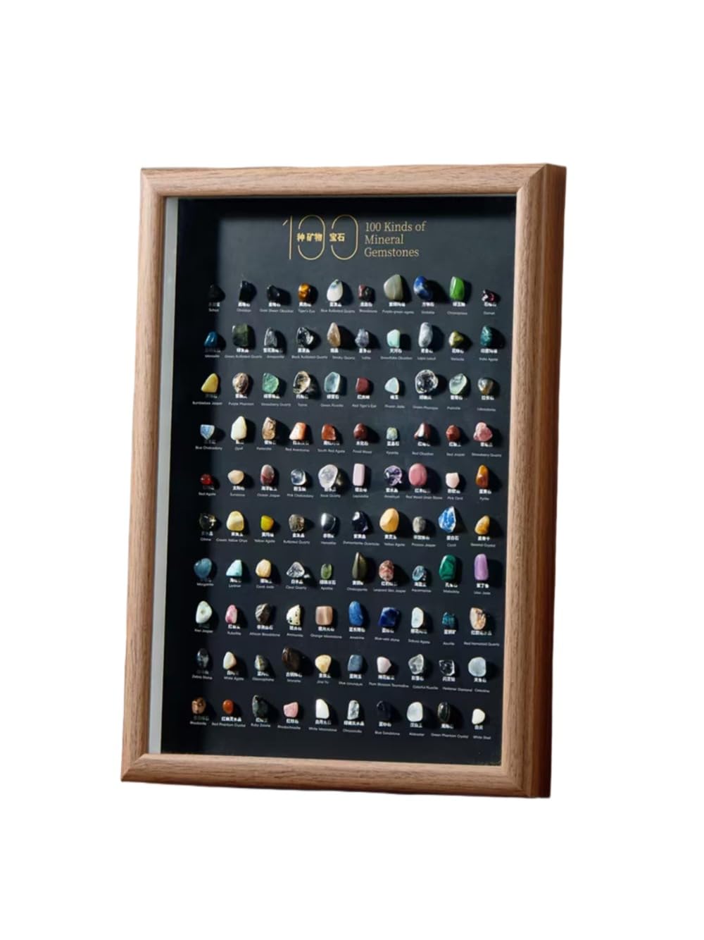 Natural Mineral Specimen Shadow Box Home Decor|Geology Case with Real Rocks Crystals