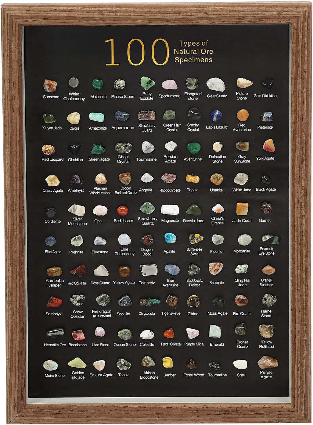 Natural Mineral Specimen Shadow Box Home Decor|Geology Case with Real Rocks Crystals