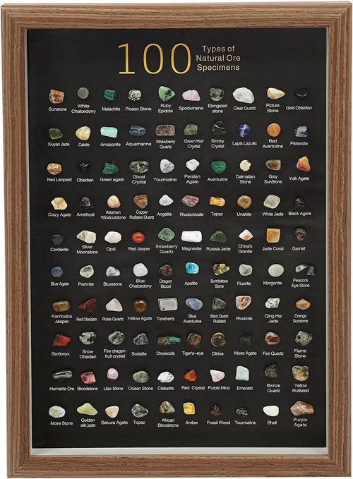 Natural Mineral Specimen Shadow Box Home Decor|Geology Case with Real Rocks Crystals