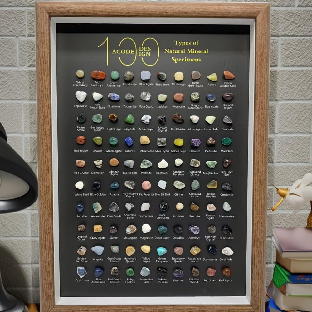 Natural Mineral Specimen Shadow Box Home Decor|Geology Case with Real Rocks Crystals