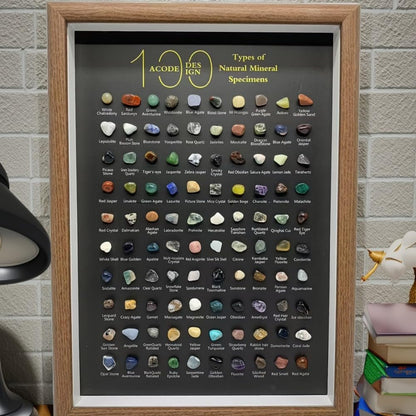 Natural Mineral Specimen Shadow Box Home Decor|Geology Case with Real Rocks Crystals