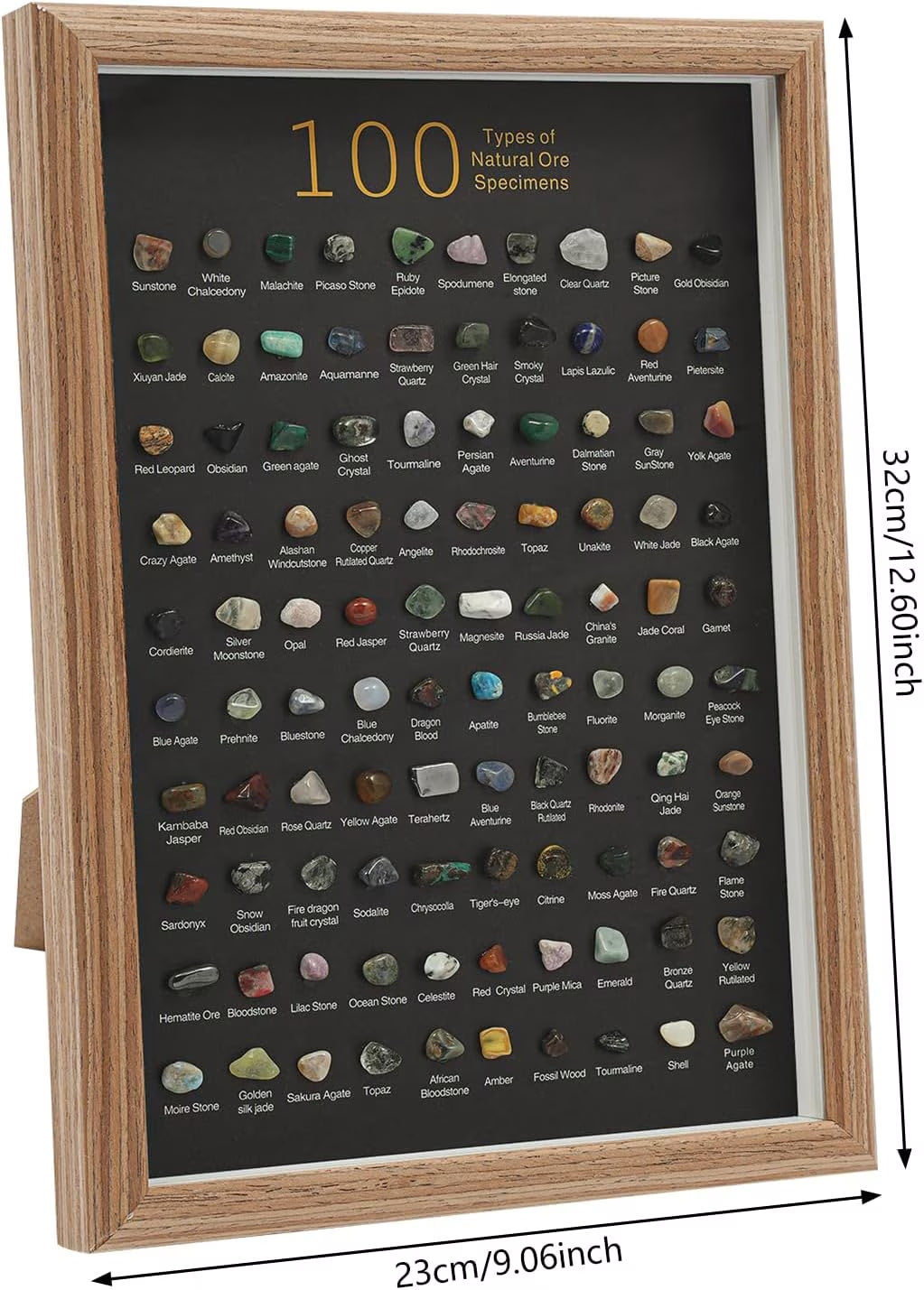 Natural Mineral Specimen Shadow Box Home Decor|Geology Case with Real Rocks Crystals