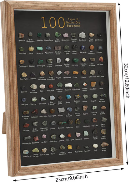 Natural Mineral Specimen Shadow Box Home Decor|Geology Case with Real Rocks Crystals