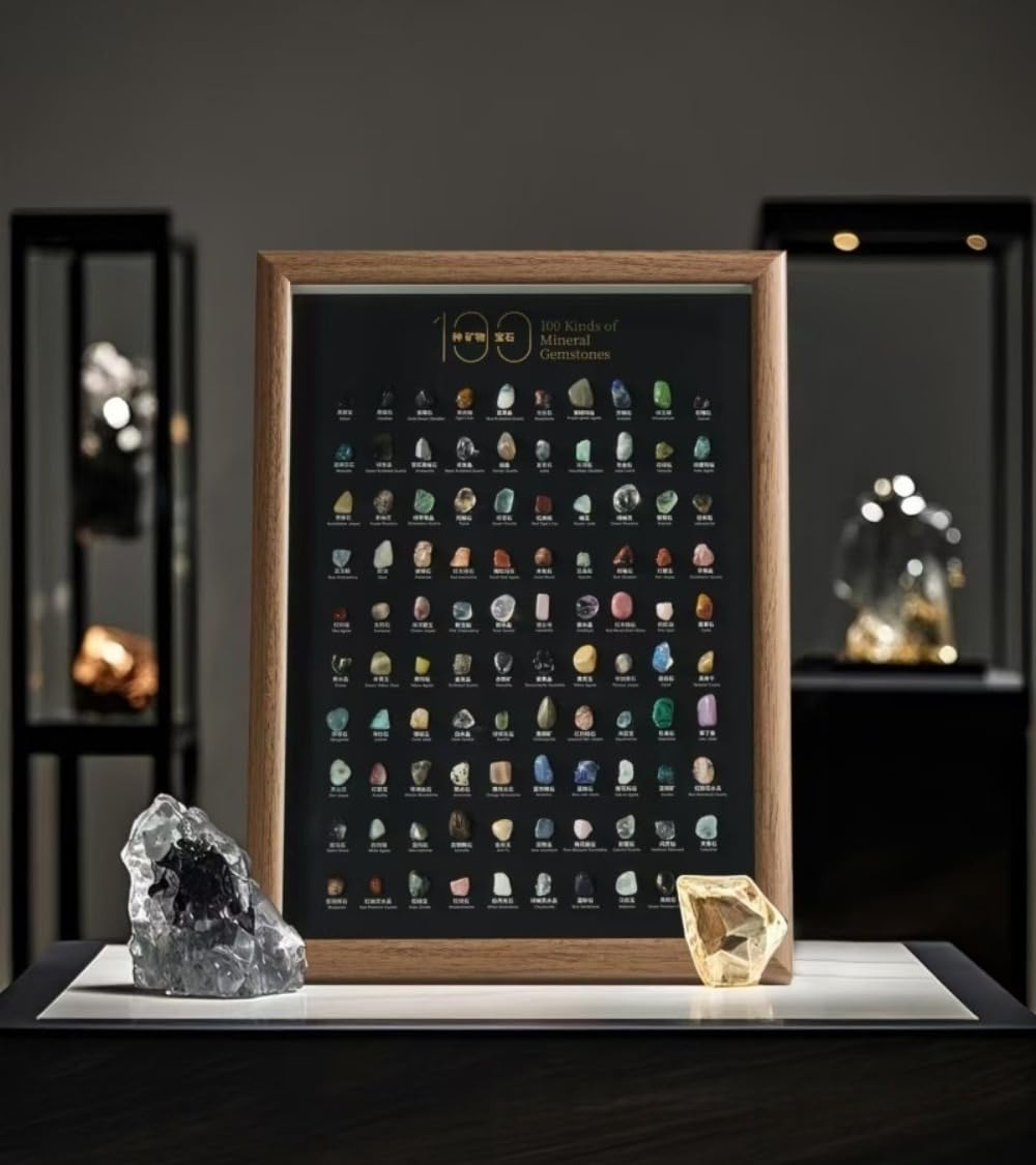 Natural Mineral Specimen Shadow Box Home Decor|Geology Case with Real Rocks Crystals