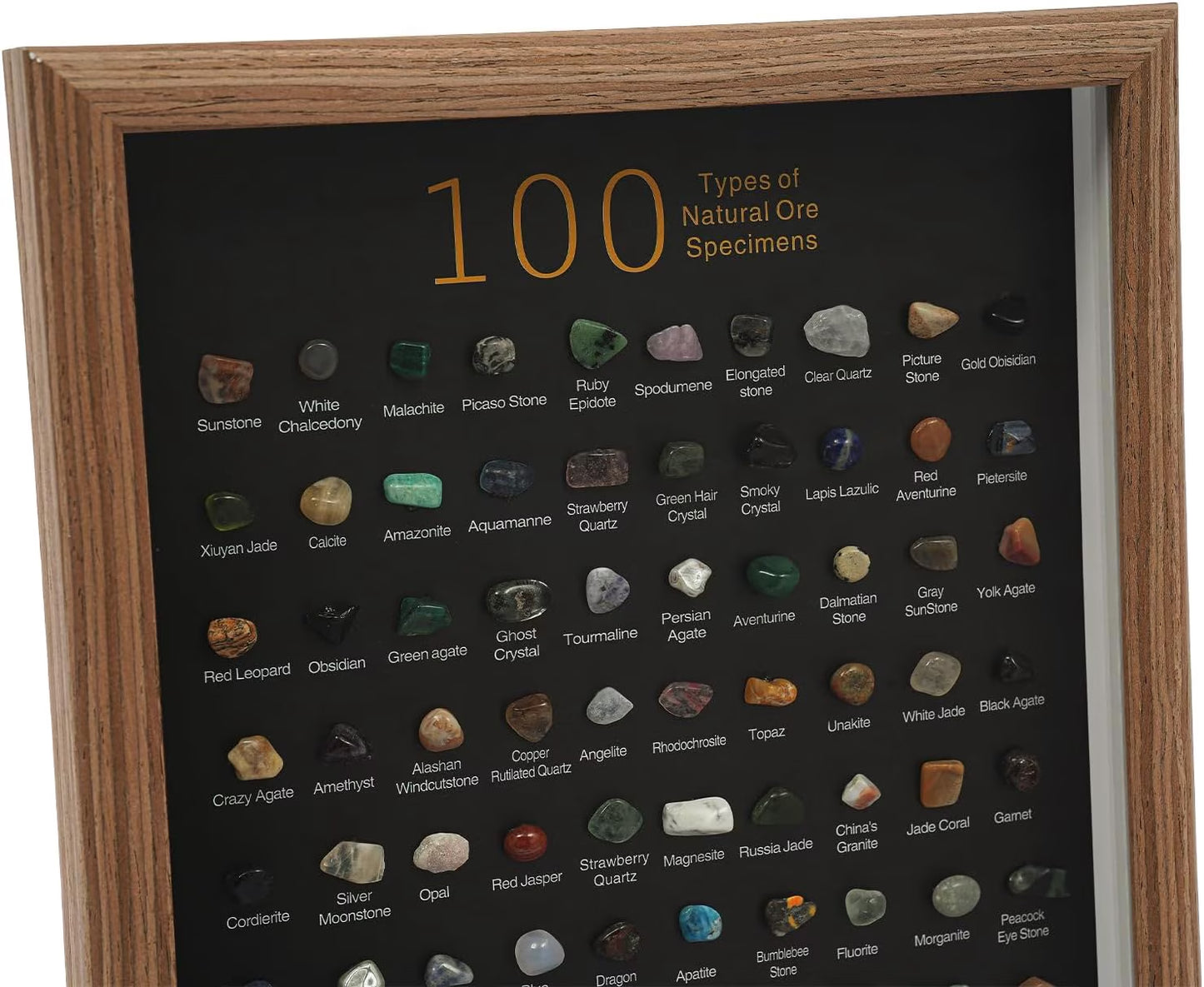 Natural Mineral Specimen Shadow Box Home Decor|Geology Case with Real Rocks Crystals