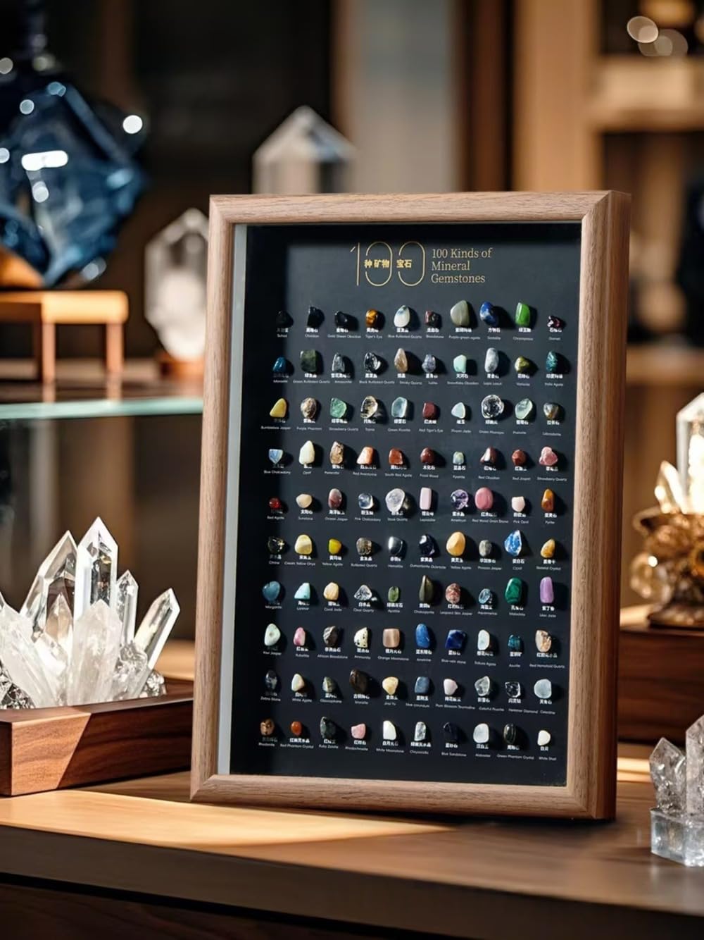 Natural Mineral Specimen Shadow Box Home Decor|Geology Case with Real Rocks Crystals
