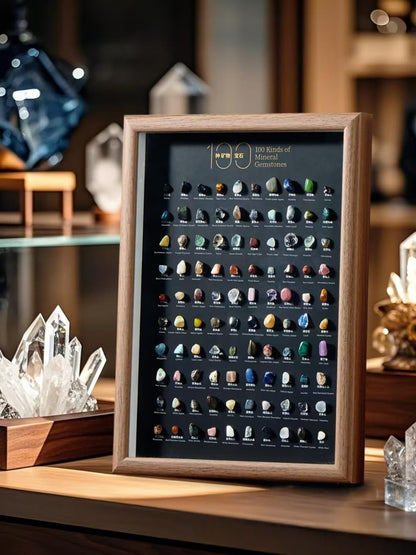 Natural Mineral Specimen Shadow Box Home Decor|Geology Case with Real Rocks Crystals