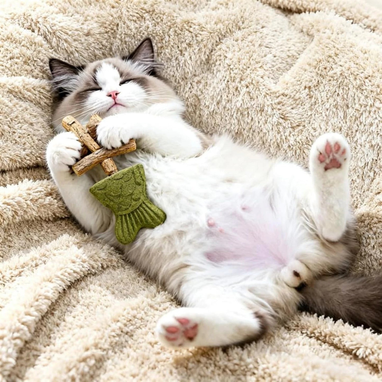🔥Catnip & Silvervine Chew