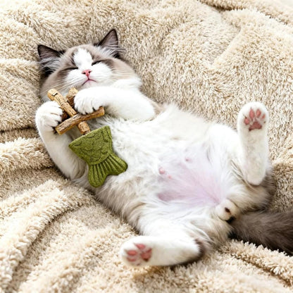 🔥Catnip & Silvervine Chew