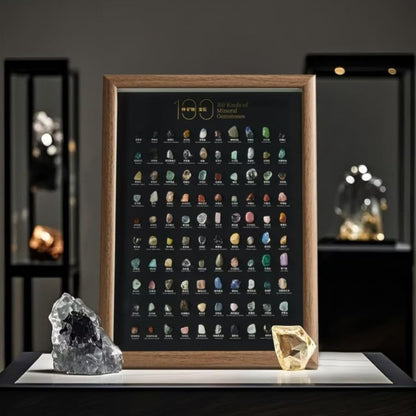 Natural Mineral Specimen Shadow Box Home Decor|Geology Case with Real Rocks Crystals