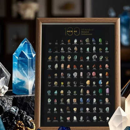 Natural Mineral Specimen Shadow Box Home Decor|Geology Case with Real Rocks Crystals