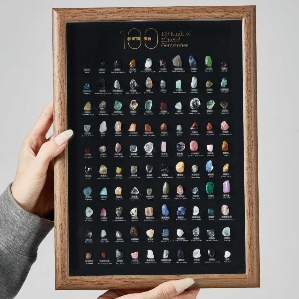 Natural Mineral Specimen Shadow Box Home Decor|Geology Case with Real Rocks Crystals