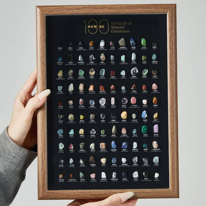Natural Mineral Specimen Shadow Box Home Decor|Geology Case with Real Rocks Crystals