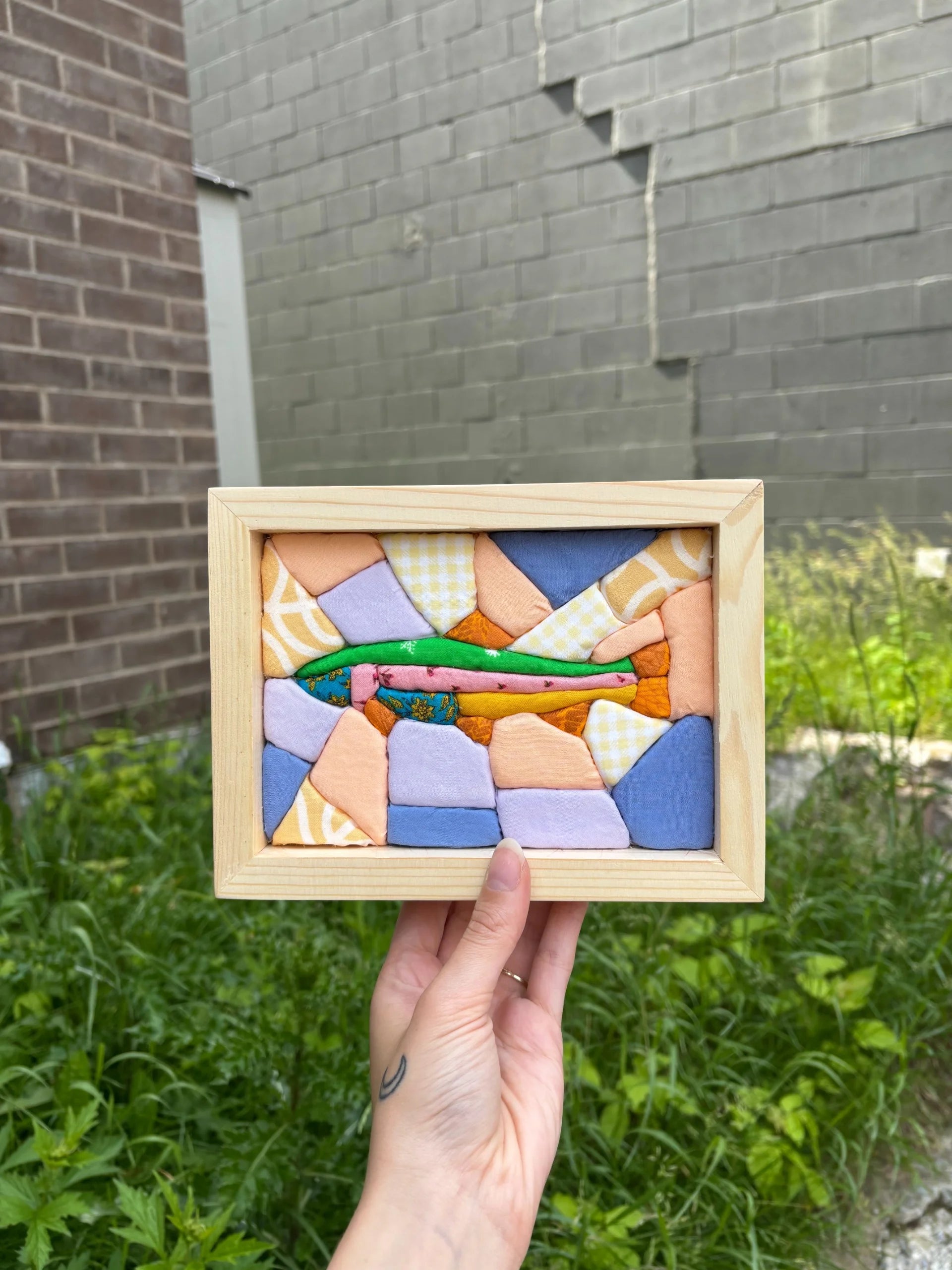 The rainbow trout