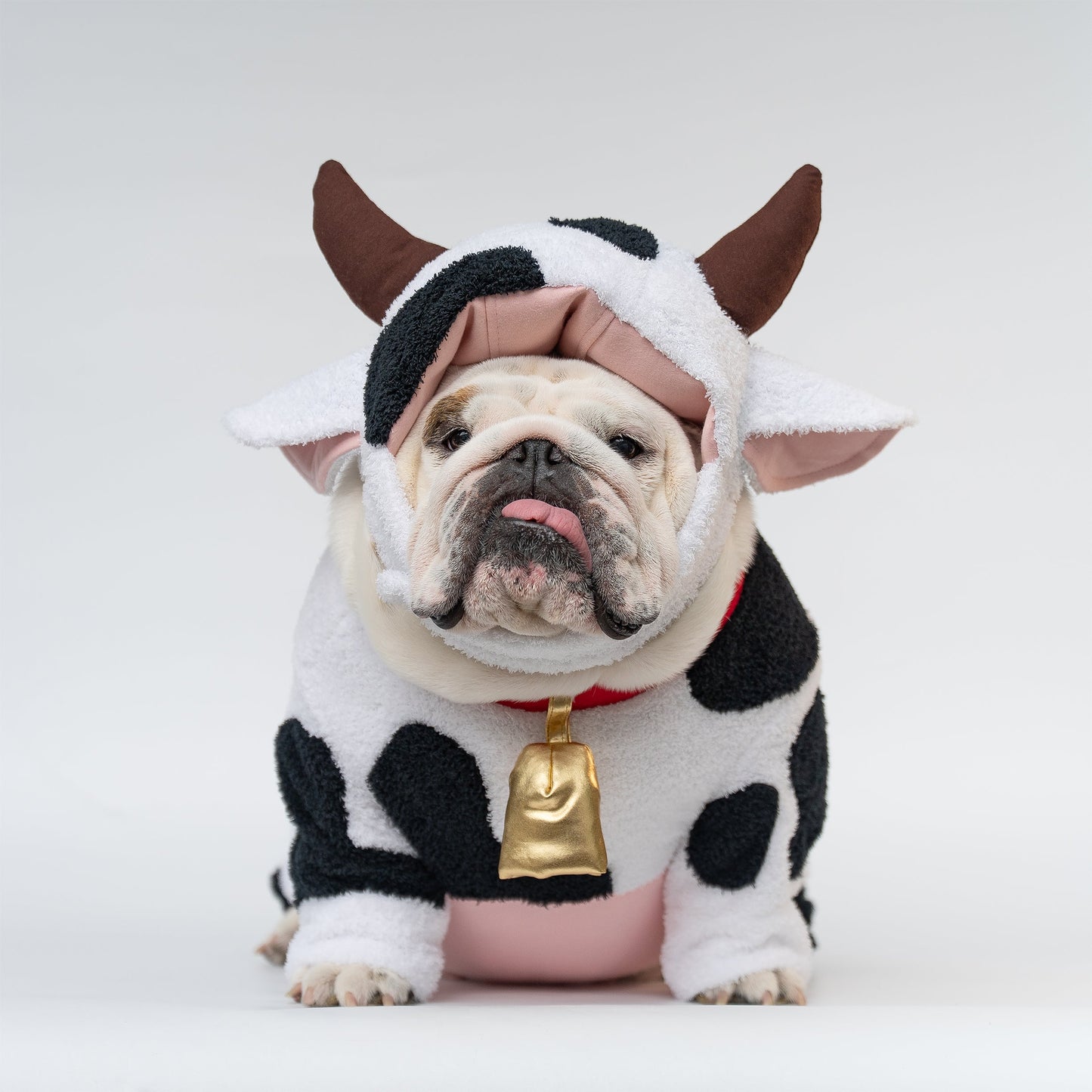 WONTON Moo Moo Cow Costume