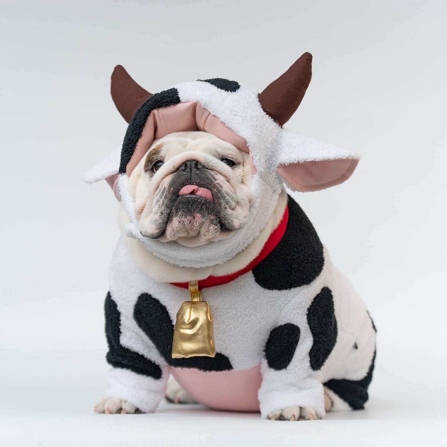 WONTON Moo Moo Cow Costume