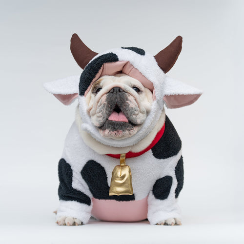 WONTON Moo Moo Cow Costume