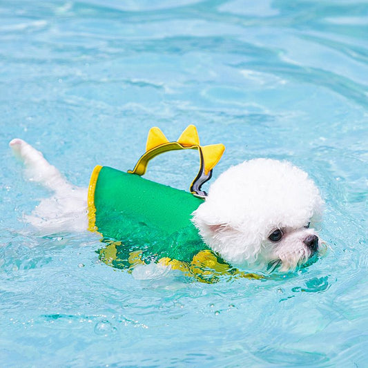 🐾Dinosaur Dog Life Jacket