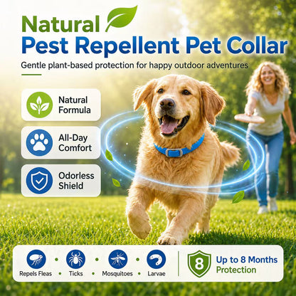 🐾Natural Essential Oil Pet Pest Repellent Collar