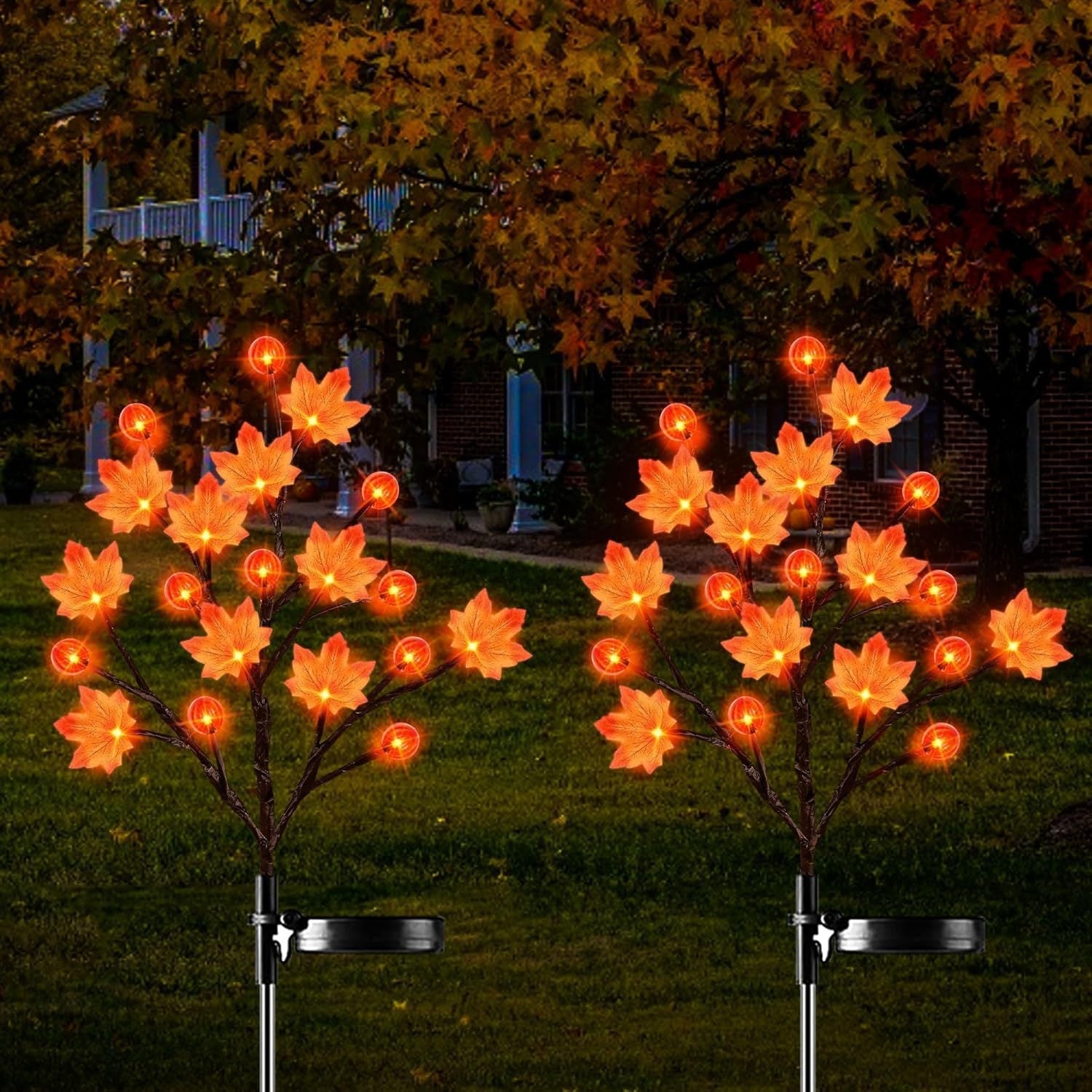 Maple Leaf & Pumpkin