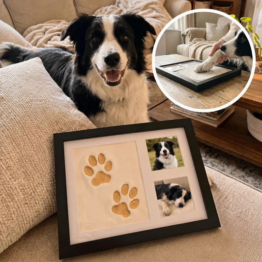 🐾VALORS™ Little Paw Themed Picture Clay Kit | Paw and Photo