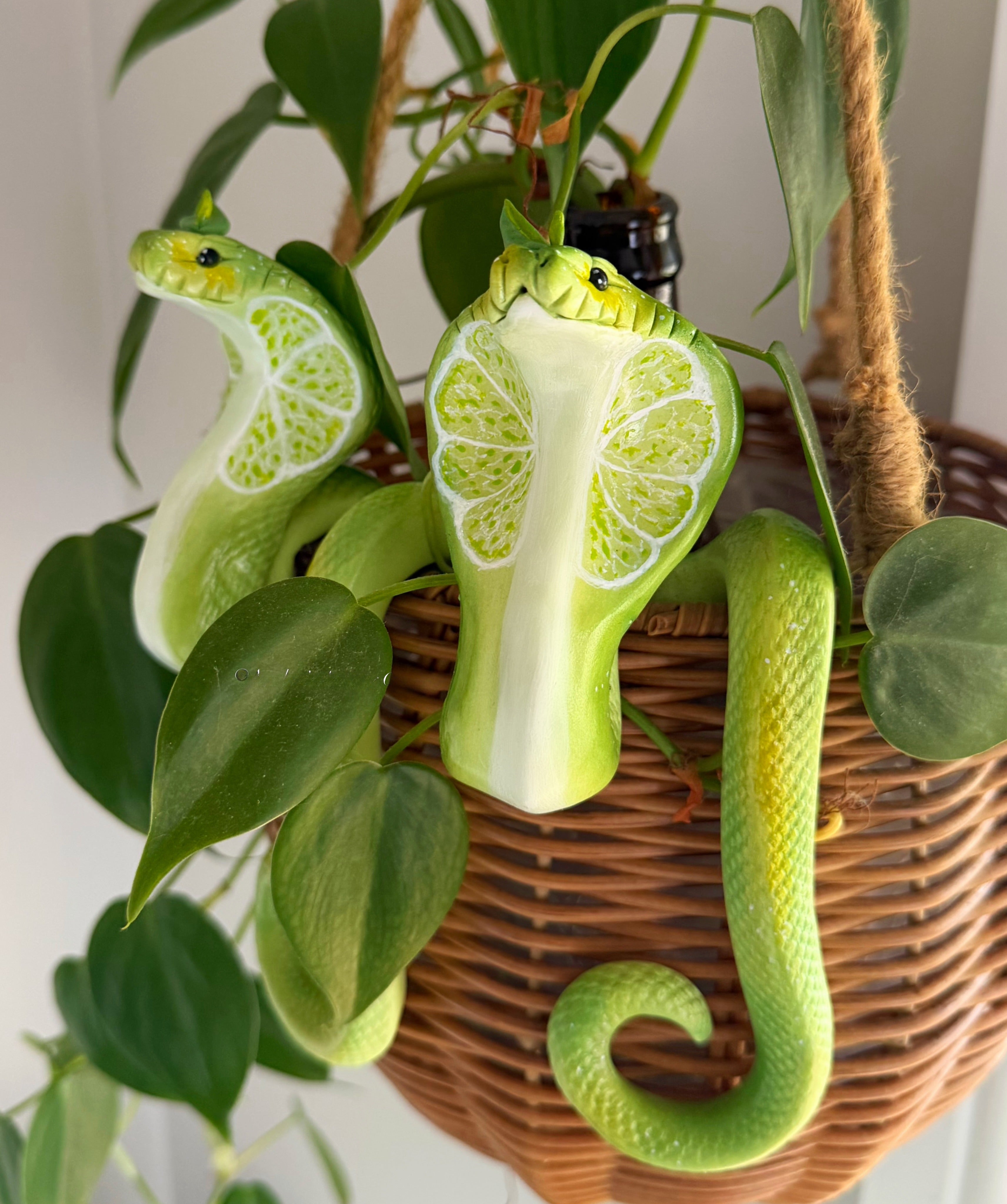 Cobra Lime