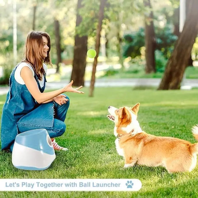HOLIDAY PET ESSENTIAL SALE | Automatic Dog Ball Launcher Toy