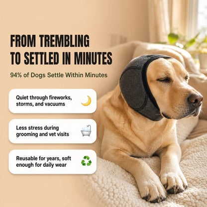 🐶Noise Cancelling Dog Ear Wrap