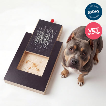🐾 HOLIDAY PET ACCESSORY SALE | Pet Nail Grinding Scratch Board