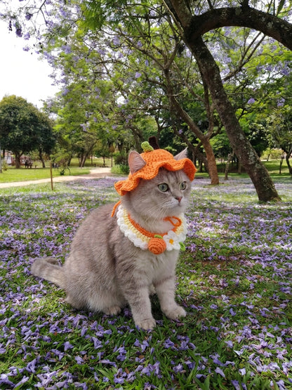 🐈Premium Crochet Pet Hat & Collar Set|Handmade with Love by Mary