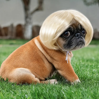 🎃HALLOWEEN SALE: SHORT HAIR WIG PET HEADBAND — FUNNY ACCESSORY FOR DOGS &amp; CATS!🎃