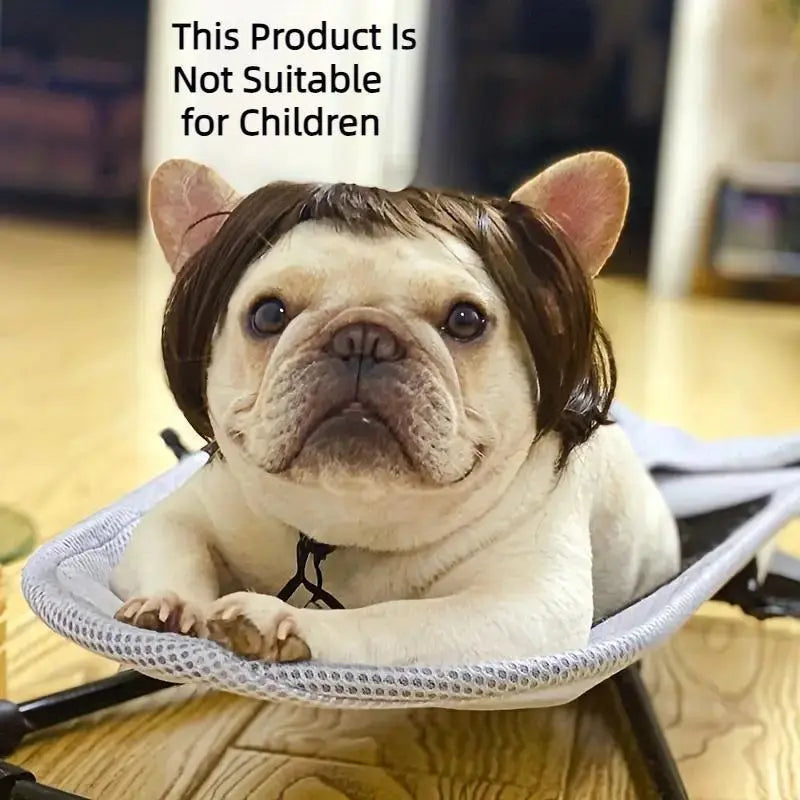 🎃HALLOWEEN SALE: SHORT HAIR WIG PET HEADBAND — FUNNY ACCESSORY FOR DOGS &amp; CATS!🎃