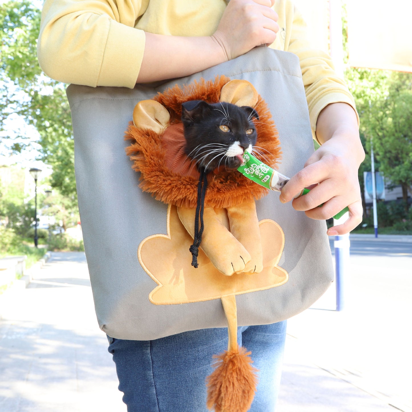 VALORS™ Lion Pet Carrier Bag
