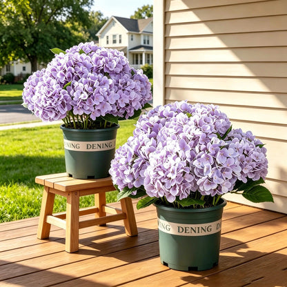 💥Buy 2 Free Shipping💐Artificial Outdoor Hydrangea Flowers - UV resistant, Waterproof, Windproof