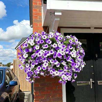 🔥Buy 2 Free Shipping🔥UV Resistant Artificial Petunias Flowers
