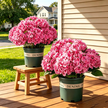 💥Buy 2 Free Shipping💐Artificial Outdoor Hydrangea Flowers - UV resistant, Waterproof, Windproof