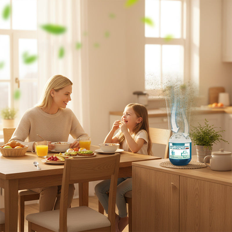 Indoor Air Purification Dust Removal Magic Box