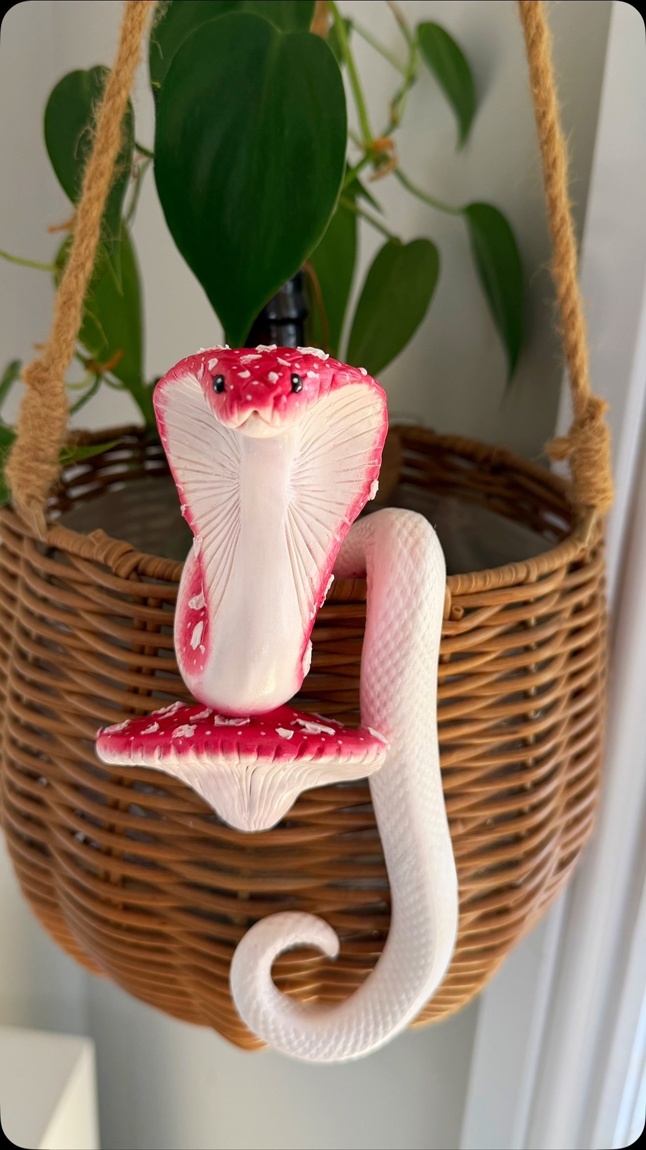 Cobra Mushroom